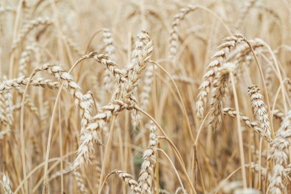 男虎比女虎小几个月结婚好吗