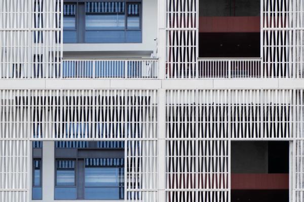 属猴人结婚忌什么属相