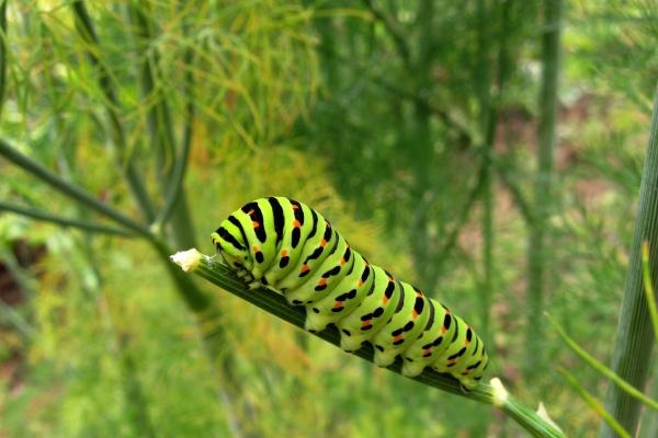 属鼠女会被谁纠缠一生