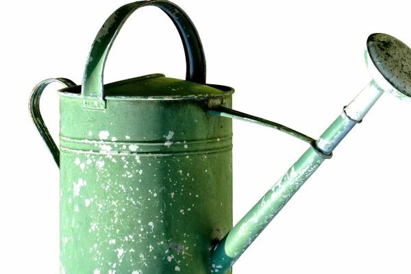 男牛比女羊小六岁好吗