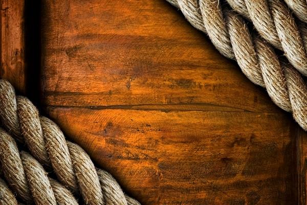 陪猴女走到最后的生肖男