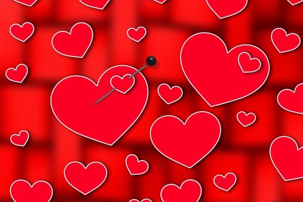 能降住属虎人的生肖