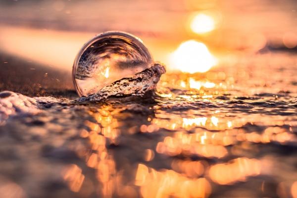 注定大富大贵的生肖男