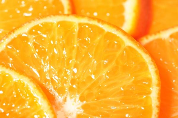 最旺狗的五个属相 最旺狗的属相是什么