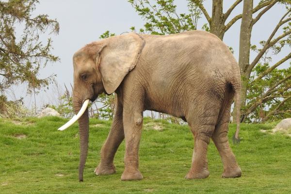 代代都非常有钱的生肖男