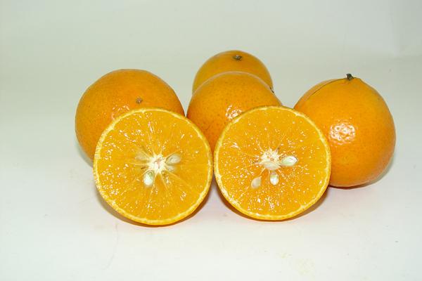 早晚变成大老板的生肖男