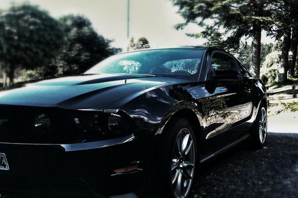 仙指阁运势 2025年2月21日十二生肖运势分析