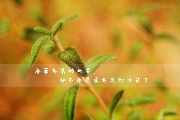 梦到了老公奸情是什么意思