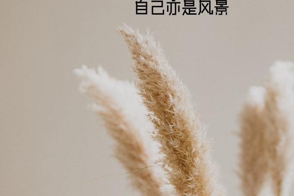 2025属鸡人天降大喜