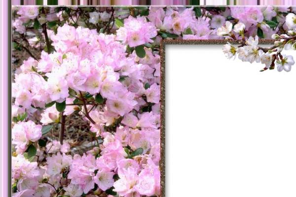 属鼠和属马的能通过一辈子吗