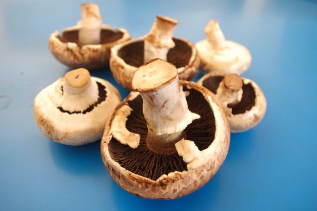梦到了虎子好不好