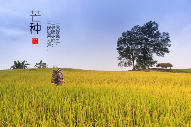 羊鼠在一起能够化解吗，生肖羊和鼠怎样化解