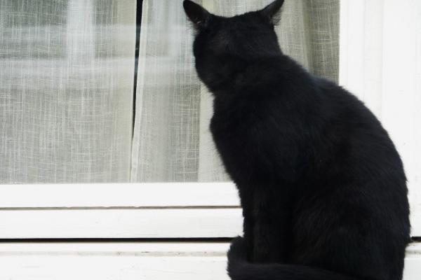 生肖龙未来三年的大事