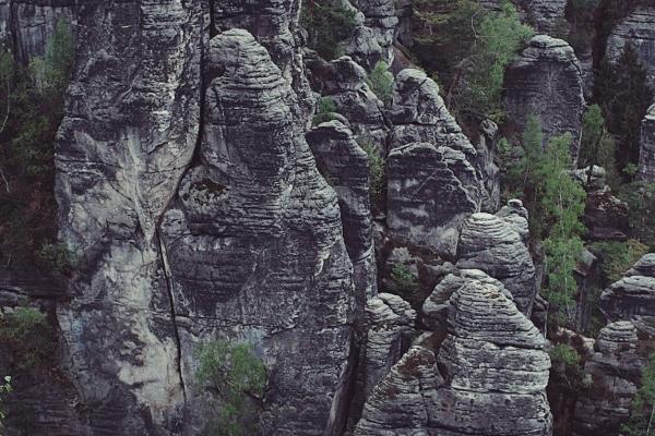 生肖鸡未来三年的大事
