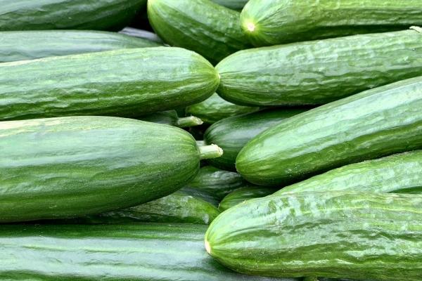 属羊人被看不起的原因