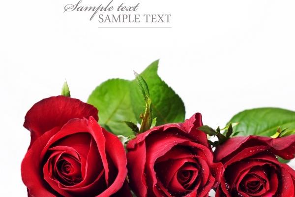 属龙人开店门口朝哪个方向好，龙开店最忌三个地方