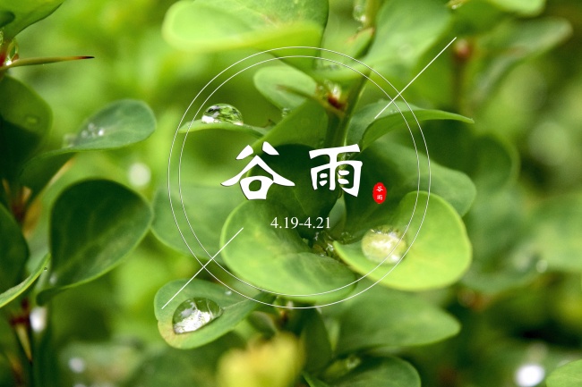 属虎人开店门口朝哪个方向好，虎开店最忌三个地方