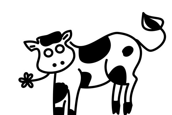 女孩命最好的三个时辰属猪