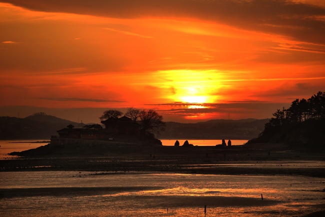 生肖羊未来三年的大事
