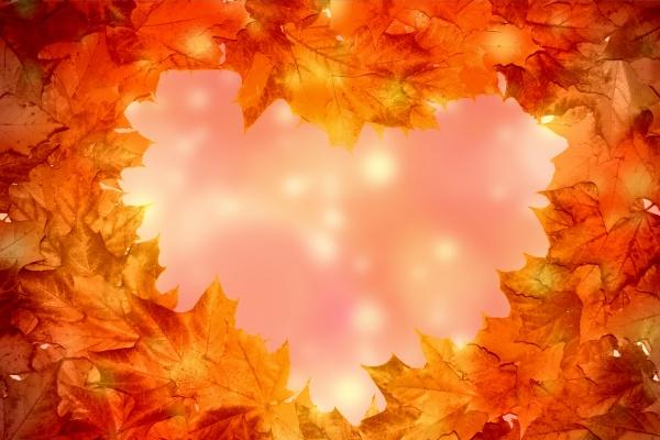 属猴人最大的恩人