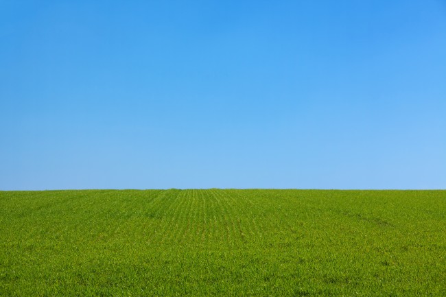 远嫁才幸福的生肖女