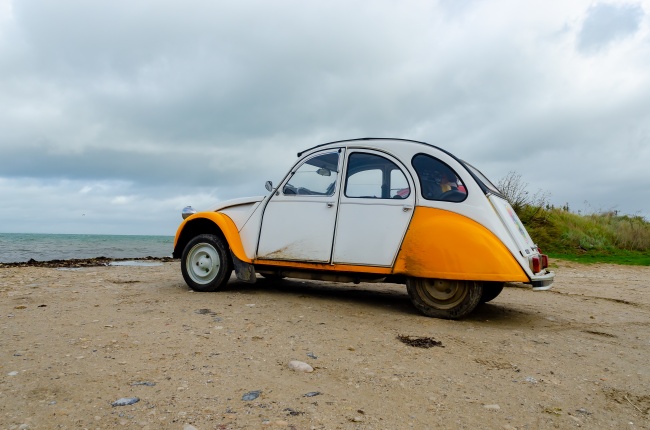 属狗走大运在哪一年