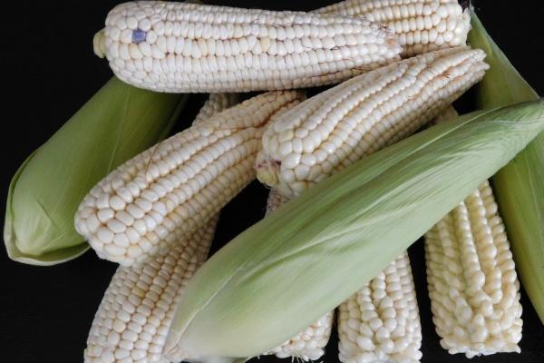 木命是哪年出生的生肖