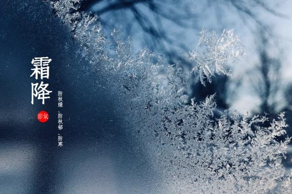 梦到了房顶掉土代表什么