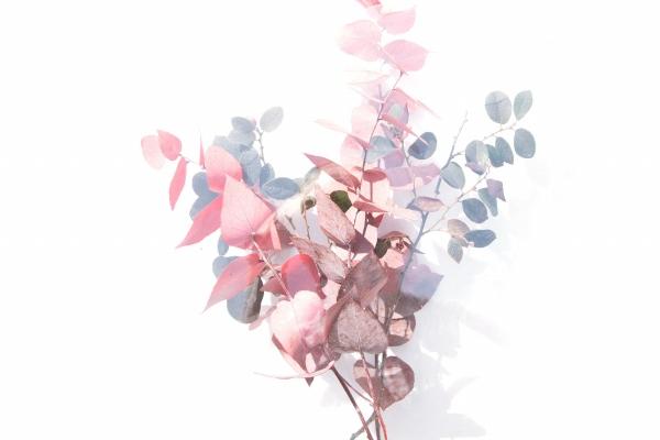 属兔人要远离的四样东西