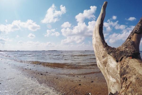 属鼠人要远离的四样东西