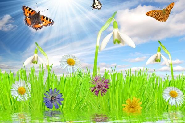 属猪人什么时候才起大运