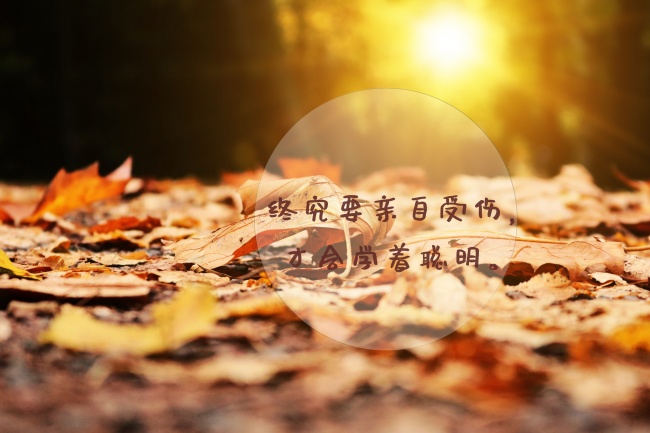 婚后最有本事的生肖女