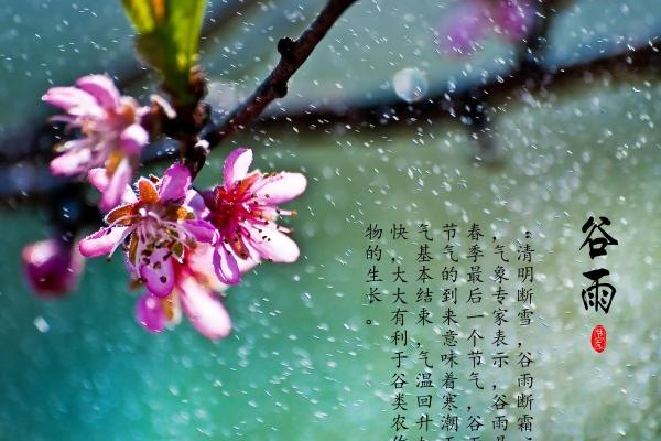 梦到了嫁给皇帝是好是坏
