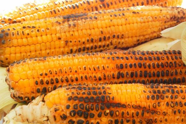 2025年最旺的四个属相 运势稳步上升