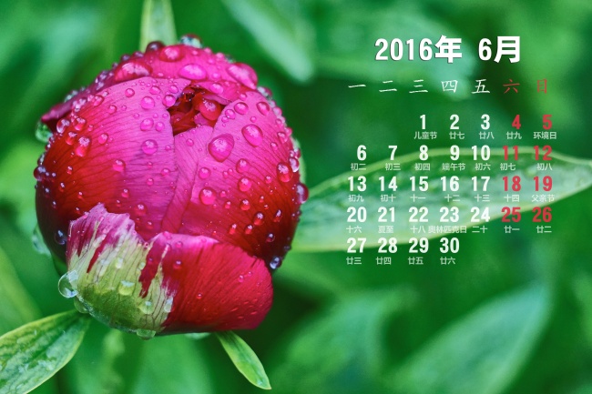 艾菲尔 十二星座一周运势2025.2.3-2.9