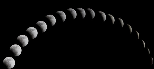 静电鱼 十二星座星运详解【周运2025年2月24日-3月2日】