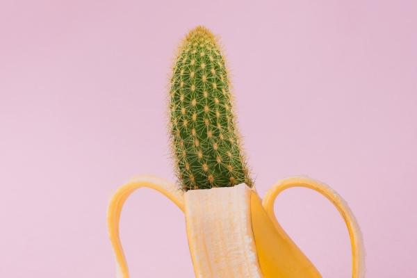 兔和羊在一起谁更旺谁