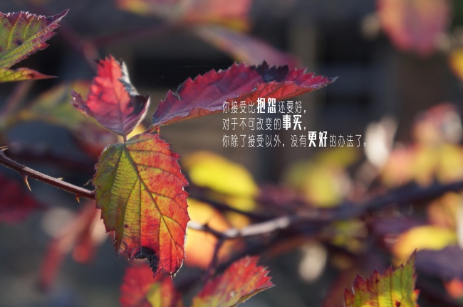梦见墙壁流水是好的征兆吗