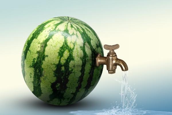 2025年属蛇的能过生日吗，蛇过生日注意事项