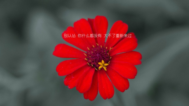 炉中火遇什么大吉