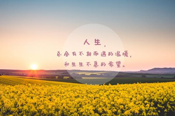 梦到了找工具代表什么