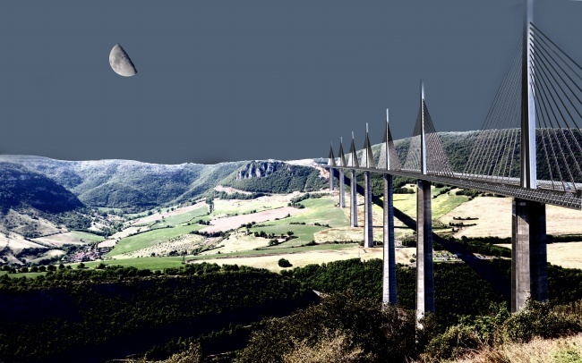 属牛2025真爱出现，属牛人2025年爱情运势怎么样