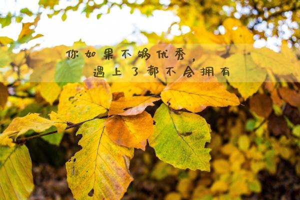 属马结婚当天犯冲的属相，属马结婚当天回避属相