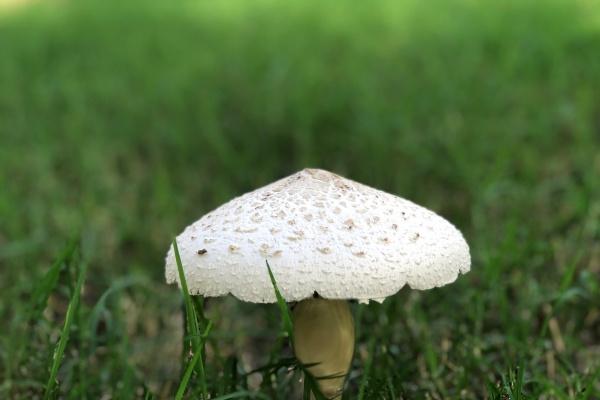 76龙和87兔在一起对谁不利