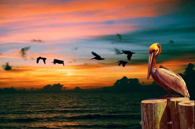 梦到母亲化妆有什么预示吗 梦到母亲化妆有什么预示吗