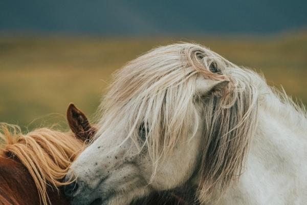 梦见卡车翻车是什么意思 梦见卡车翻车是什么意思