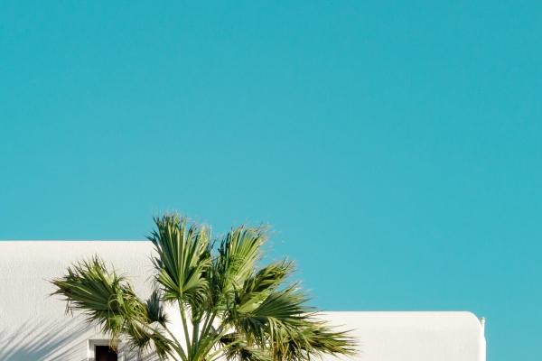 梦见生女孩死了预示什么 梦见生女孩死了预示什么