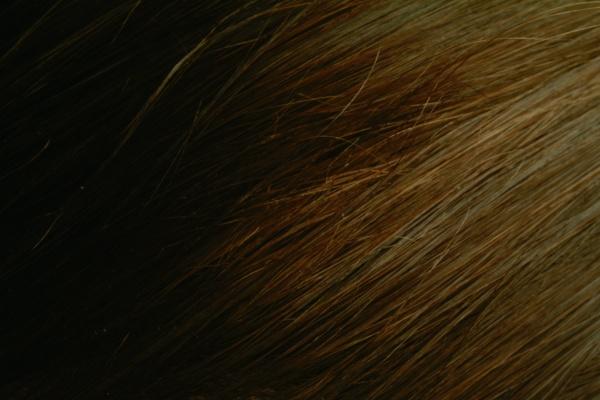 梦到抓大老鼠是什么预兆