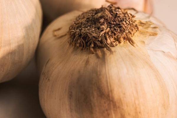 梦到l儿子什么寓意