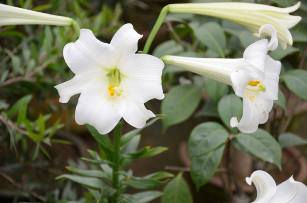 梦到下叉是什么启示